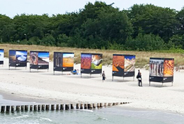 Ferienhaus in Zingst